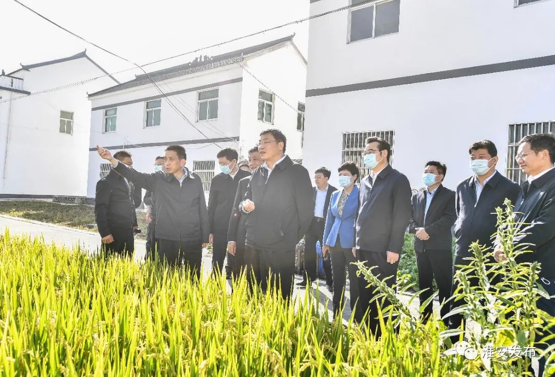 副省长马欣高度肯定365bet指数_beat365英国_365bet体育备用户厕改造工作